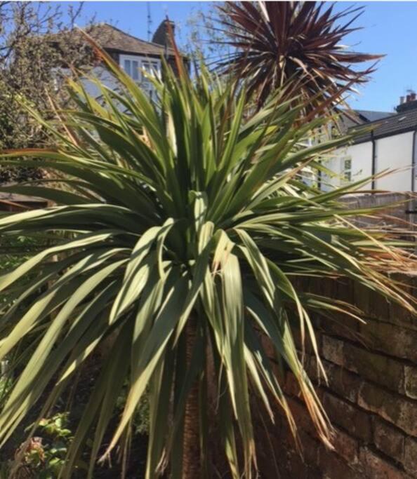 Seaside Flat In The Heart Of Herne Bay Exterior foto